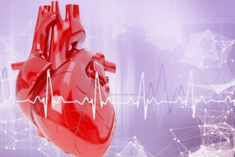 Mengenal Kardiomiopati: Kondisi Kelainan Otot Jantung yang Perlu Diwaspadai