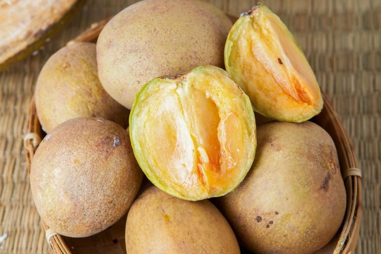 Buah Sawo Bagus untuk Penyakit Apa? Berikut 7 Daftarnya yang Patut Diketahui