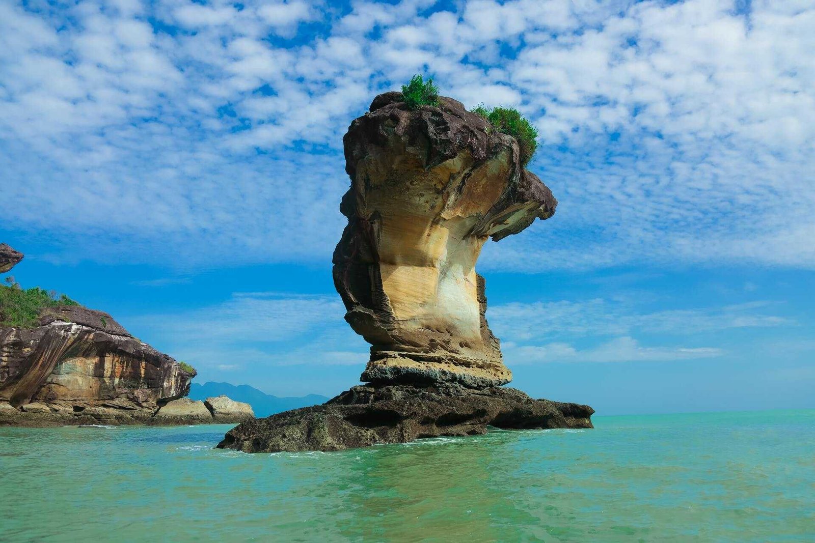 Bako National Park Malaysia Hutan Hujan dengan Jalur Trekking dan Satwa yang Menakjubkan