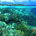Pariwisata Sulut Meningkat