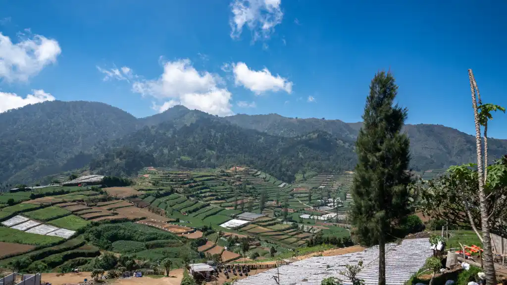 Wisata Urban Visual Jateng