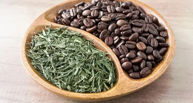Kopi atau Teh Hijau