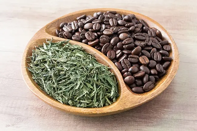 Kopi atau Teh Hijau
