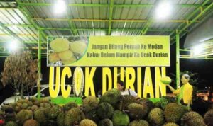 Durian Ucok