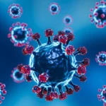 virus Shamonda