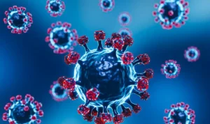 virus Shamonda