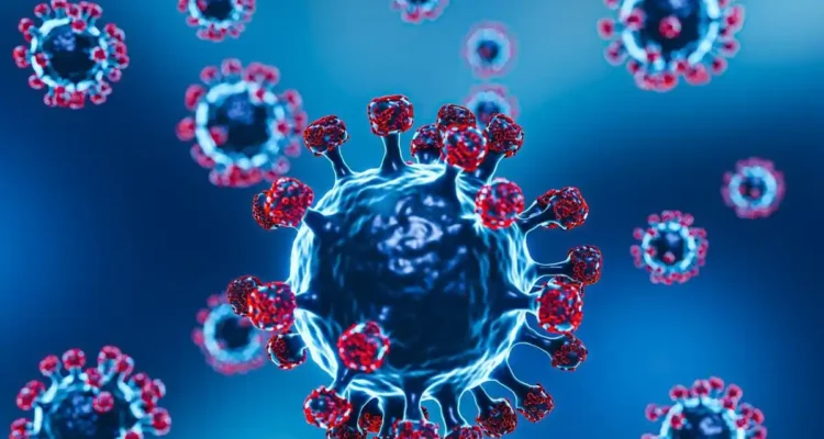 virus Shamonda