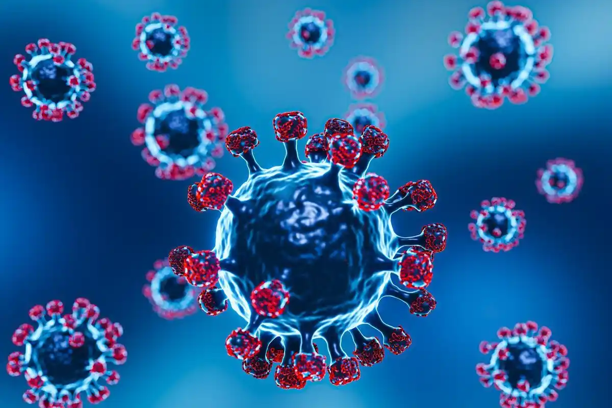virus Shamonda